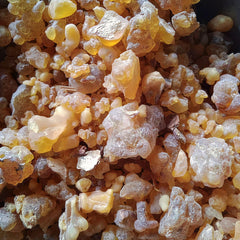 Salai Guggul Extract