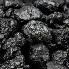 Shilajit Exudate