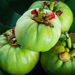Garcinia Cambogia
