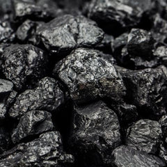 Shilajit Extract
